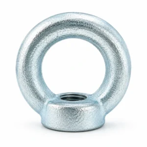 Ring Nut (DIN582)